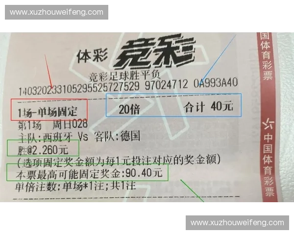 揭秘世界杯彩票玩法攻略教你轻松提高中奖概率技巧